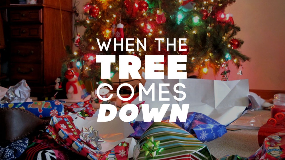 When the Tree Comes Down