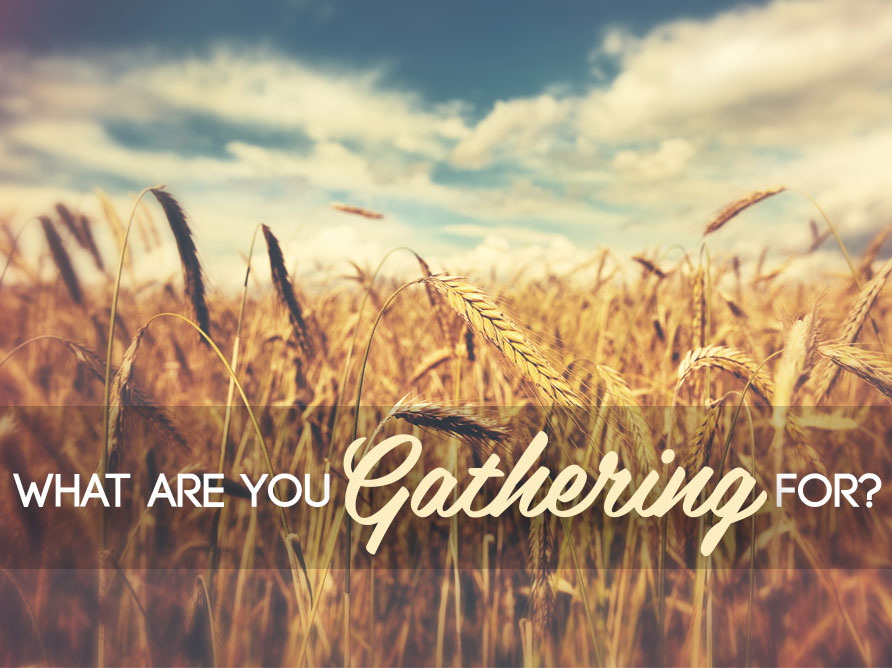 What are you Gathering for?