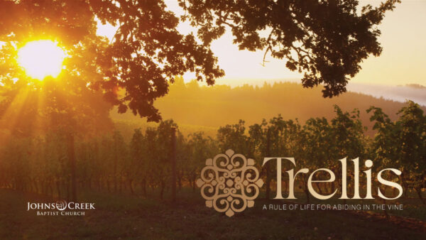 Trellis: What is a Rule of Life? Image